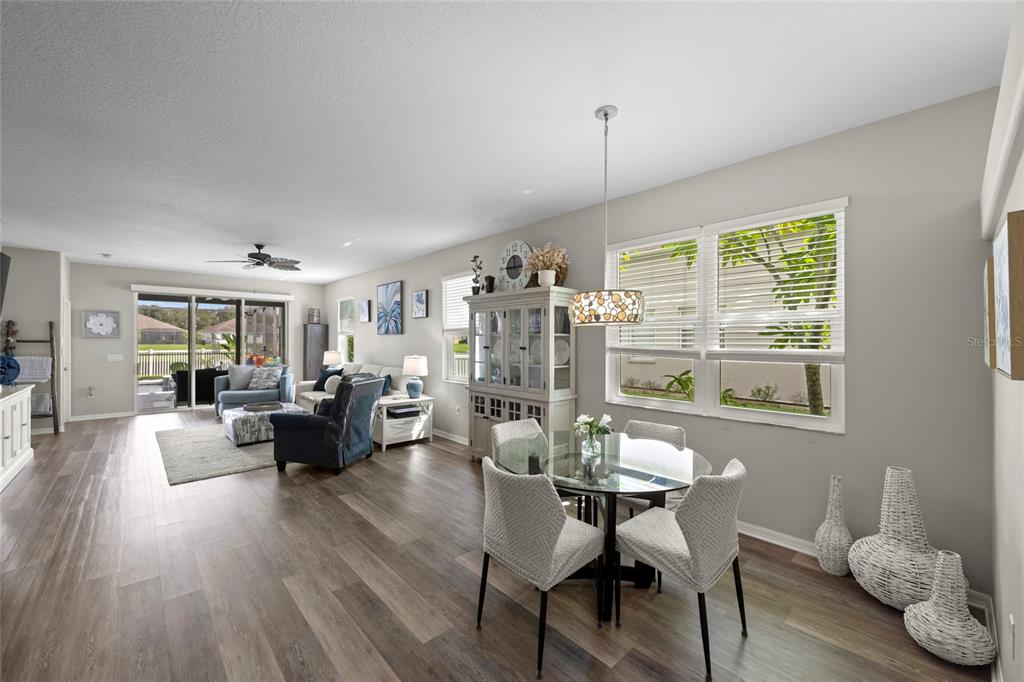 Dining/Living Room