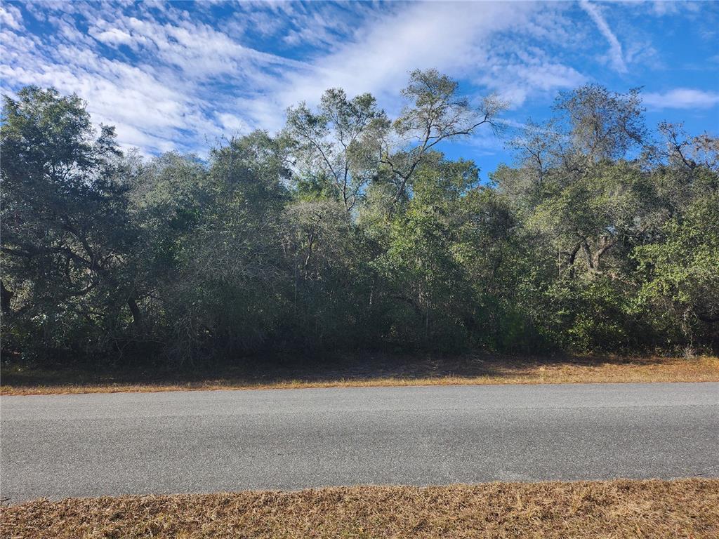 Property for sale at TBD SW 29 TERRACE ROAD, OCALA, FL, 34473