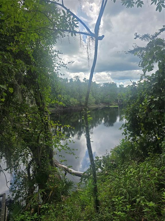 Property for sale at 00 RUNNING SPRINGS DRIVE, LIVE OAK, FL, 32060