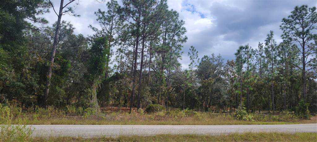 Property for sale at 0 SW ARROW LEAF TRAIL, DUNNELLON, FL, 34431