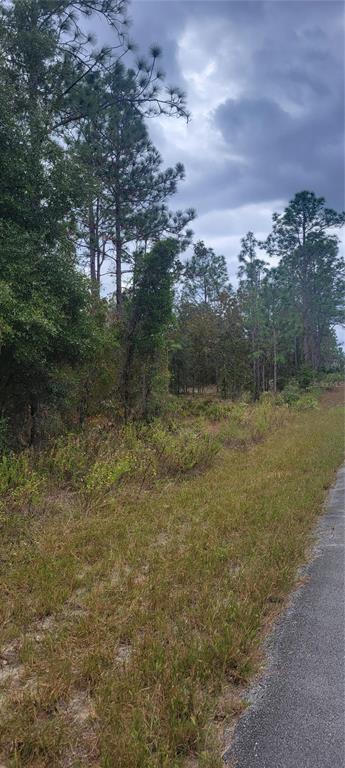 Property for sale at 0 SW ARROW LEAF TRAIL, DUNNELLON, FL, 34431