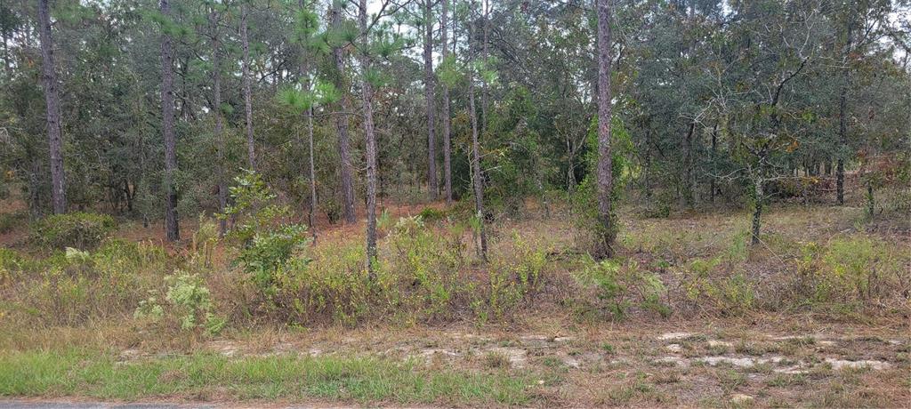 Property for sale at 0 SW ARROW LEAF TRAIL, DUNNELLON, FL, 34431