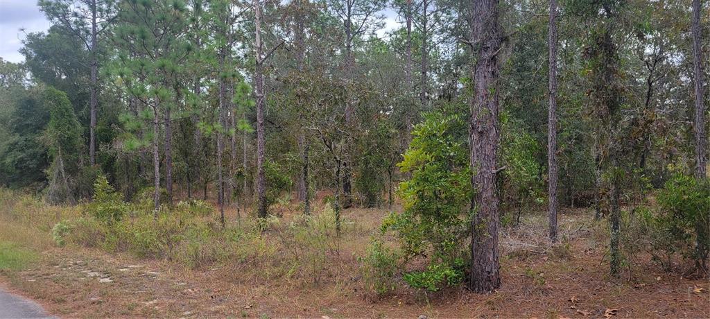 Property for sale at 0 SW ARROW LEAF TRAIL, DUNNELLON, FL, 34431