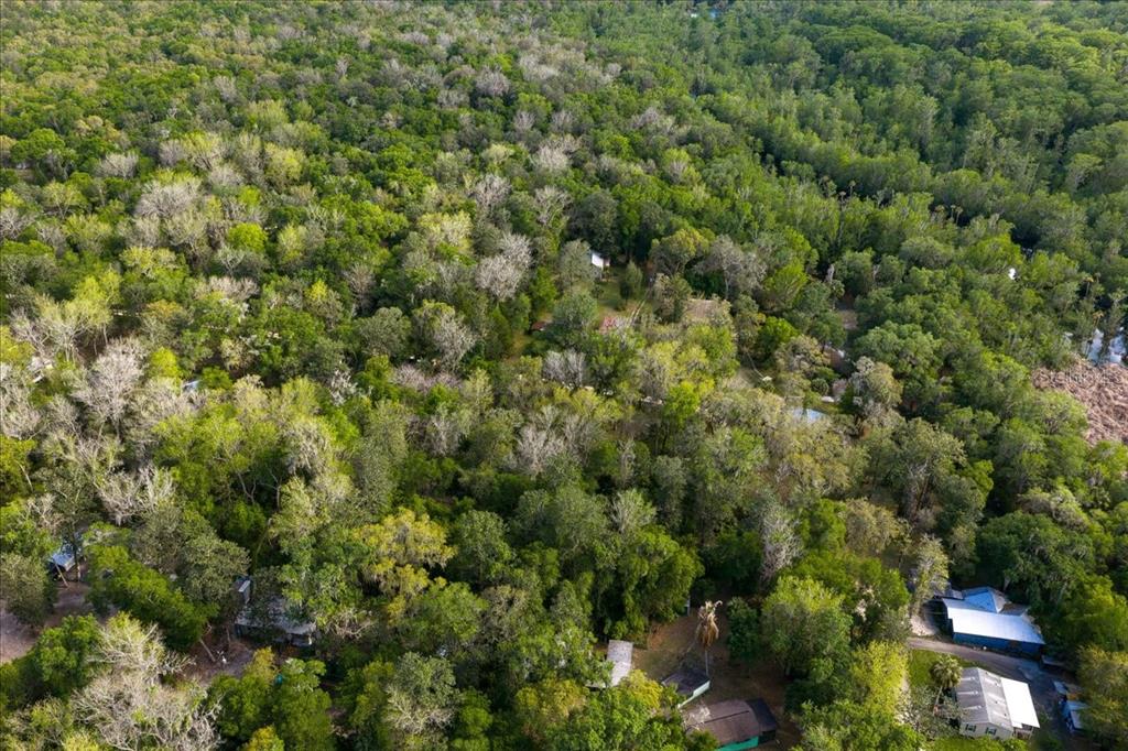 Property for sale at TBD NE 189TH STREET, FORT MC COY, FL, 32134