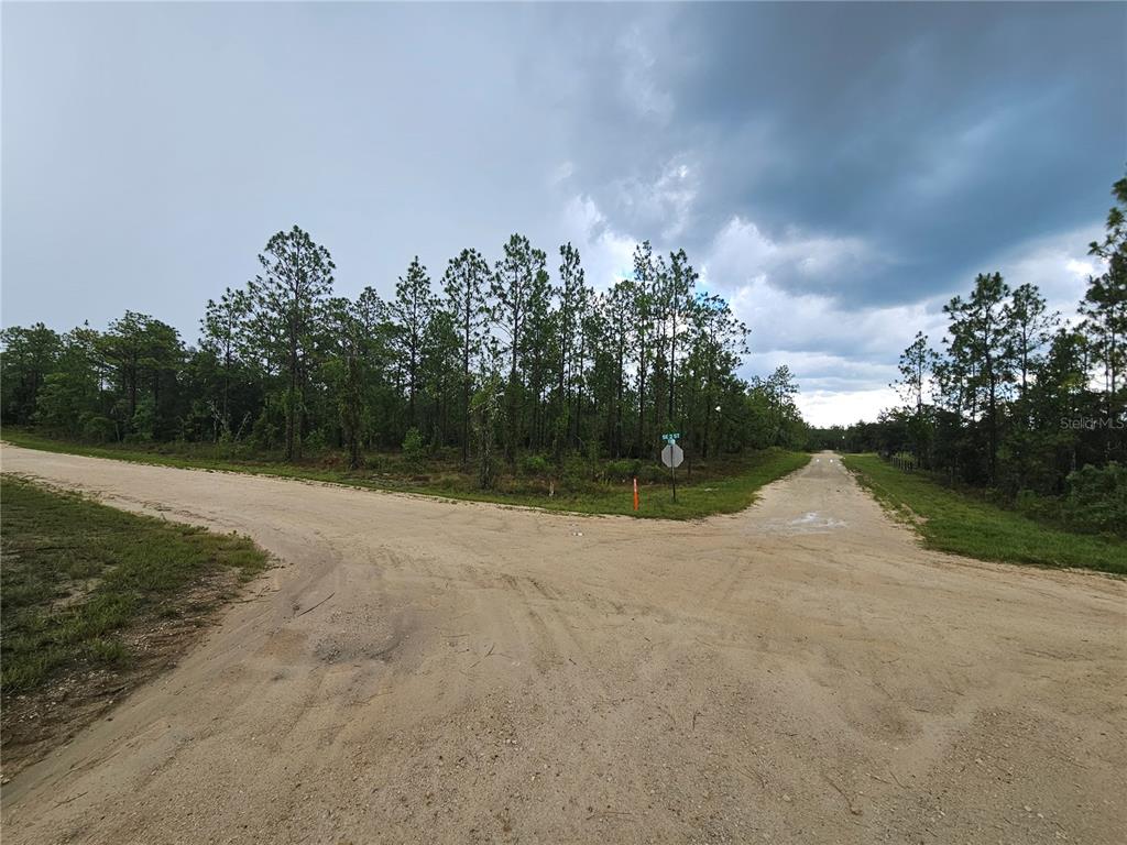 Property for sale at 231 SE 146TH TERRACE, WILLISTON, FL, 32696