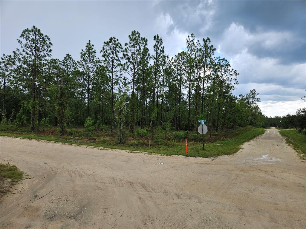 Property for sale at 231 SE 146TH TERRACE, WILLISTON, FL, 32696