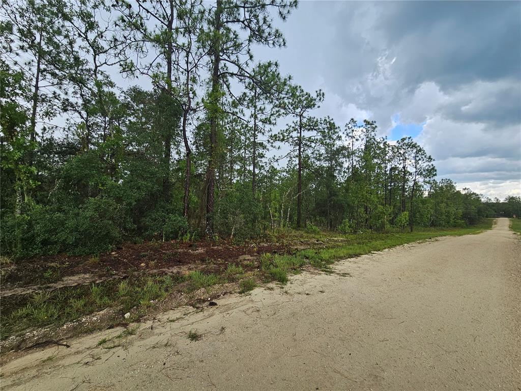 Property for sale at 231 SE 146TH TERRACE, WILLISTON, FL, 32696