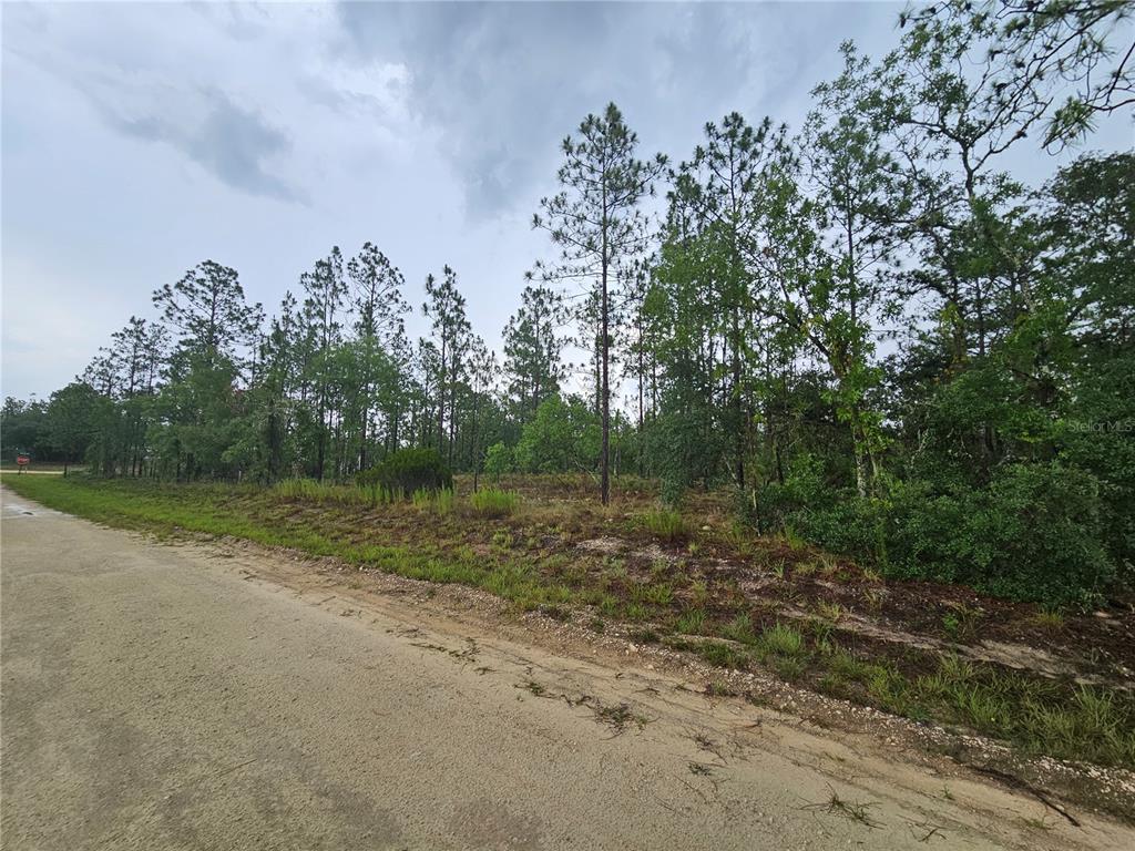 Property for sale at 231 SE 146TH TERRACE, WILLISTON, FL, 32696