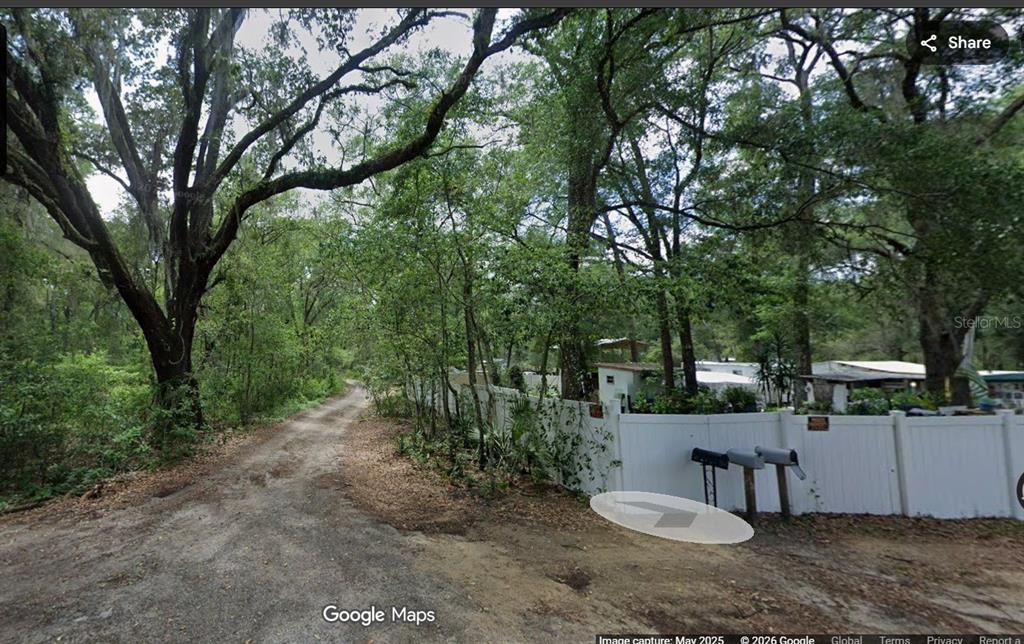 Wooded area