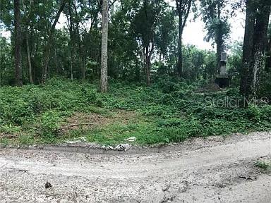 partially cleared lot