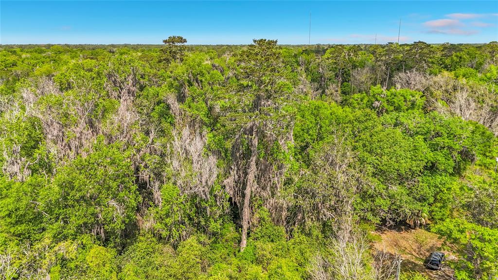 Property for sale at Lot 000 NW 39TH AVENUE, GAINESVILLE, FL, 32606