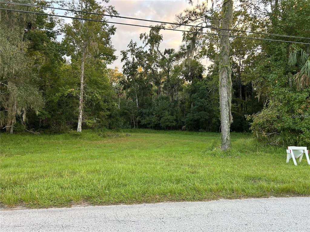 Property for sale at 24916 BUTLER STREET, ASTOR, FL, 32102