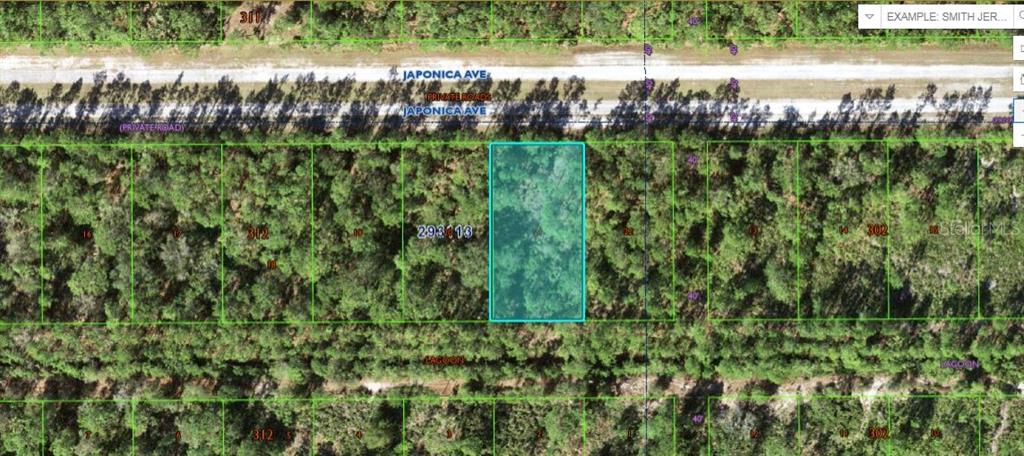 Property for sale at 1103 JAPONICA AVENUE, INDIAN LAKE ESTATES, FL, 33855