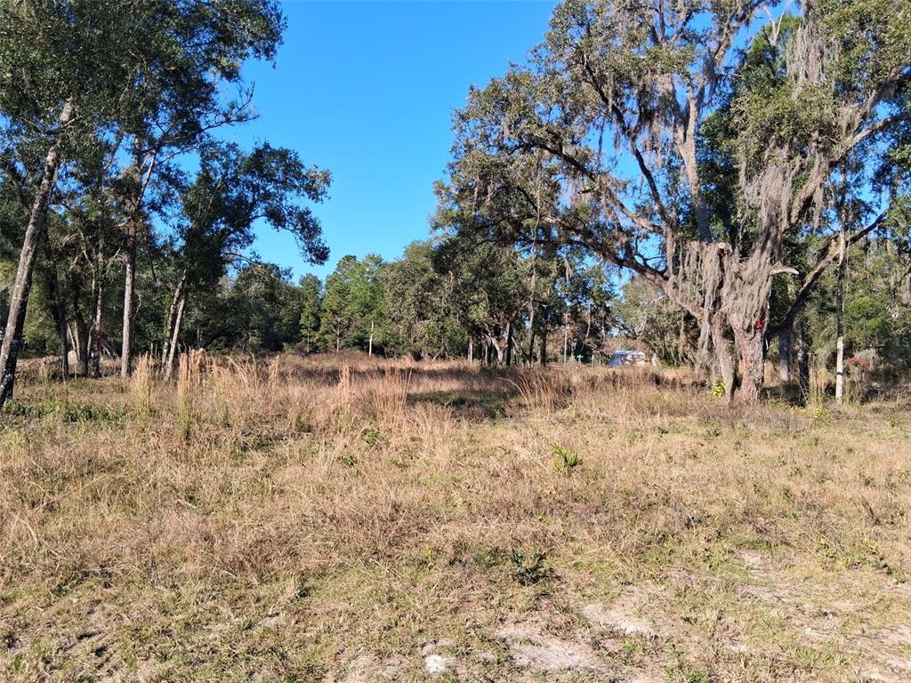 Property for sale at 0 LONG CIRCLE, WEBSTER, FL, 33597