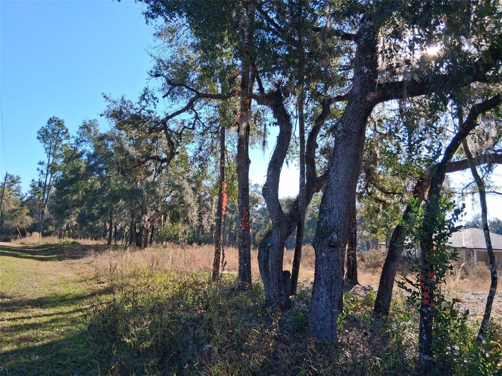 Property for sale at 0 LONG CIRCLE, WEBSTER, FL, 33597