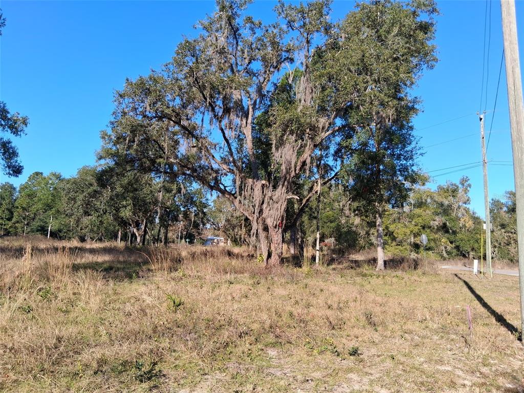 Property for sale at 0 LONG CIRCLE, WEBSTER, FL, 33597