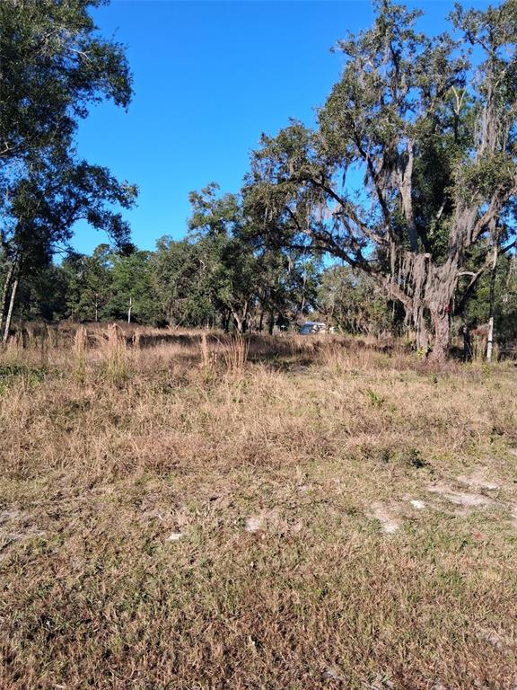 Property for sale at 0 LONG CIRCLE, WEBSTER, FL, 33597