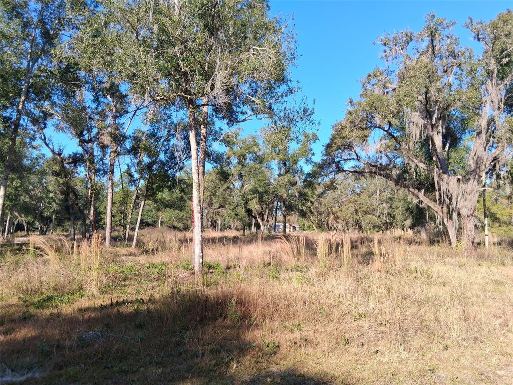 Property for sale at 0 LONG CIRCLE, WEBSTER, FL, 33597