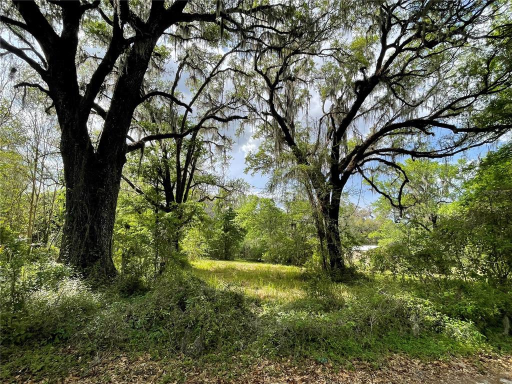 Beautiful area to build your dream home