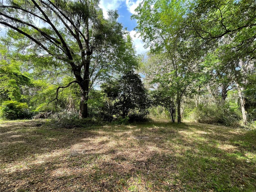Designated Area for a Homesite
