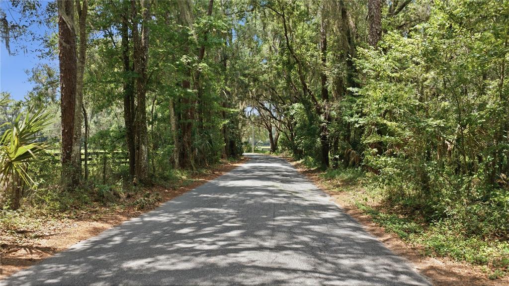 Quaint Country Road