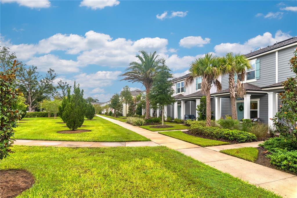 Beautiful Courtyard