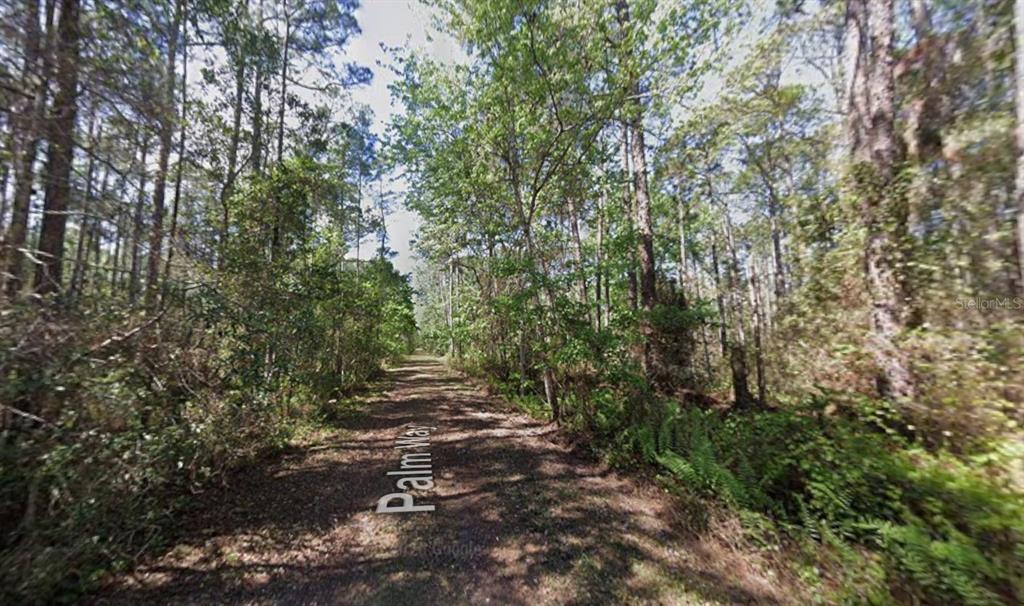 Property for sale at 418 PALM WAY, GEORGETOWN, FL, 32139