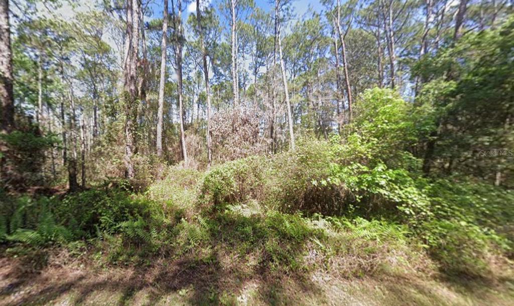 Property for sale at 418 PALM WAY, GEORGETOWN, FL, 32139