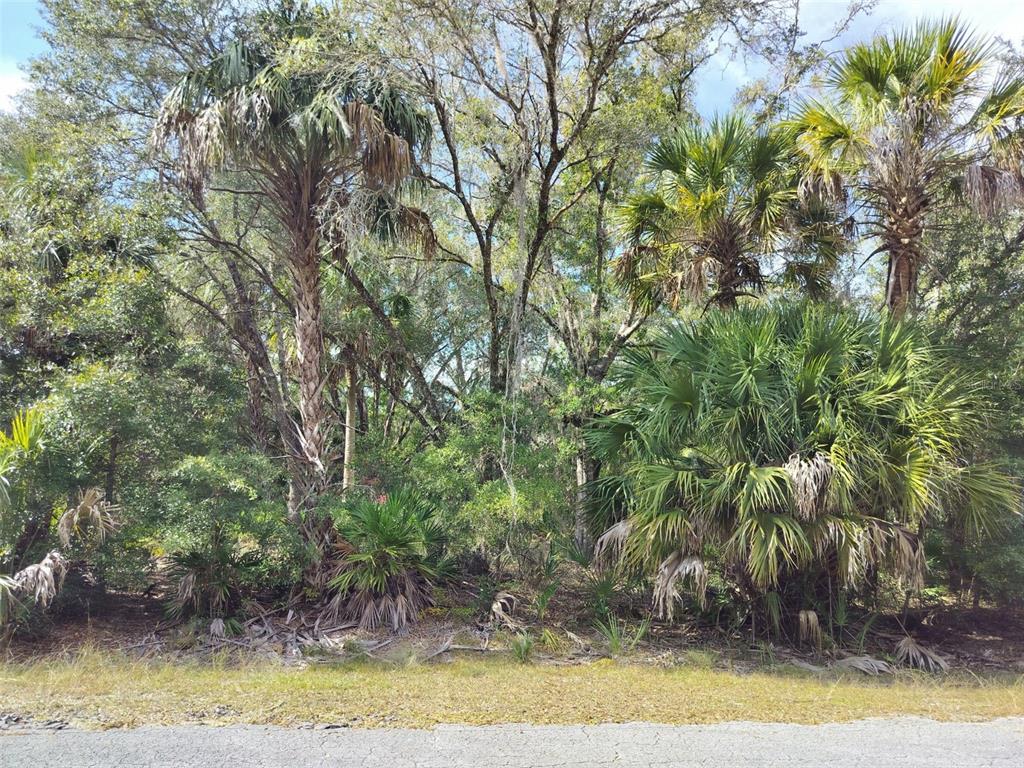 Property for sale at 9999 N SNOWBALL POINT, CRYSTAL RIVER, FL, 34428