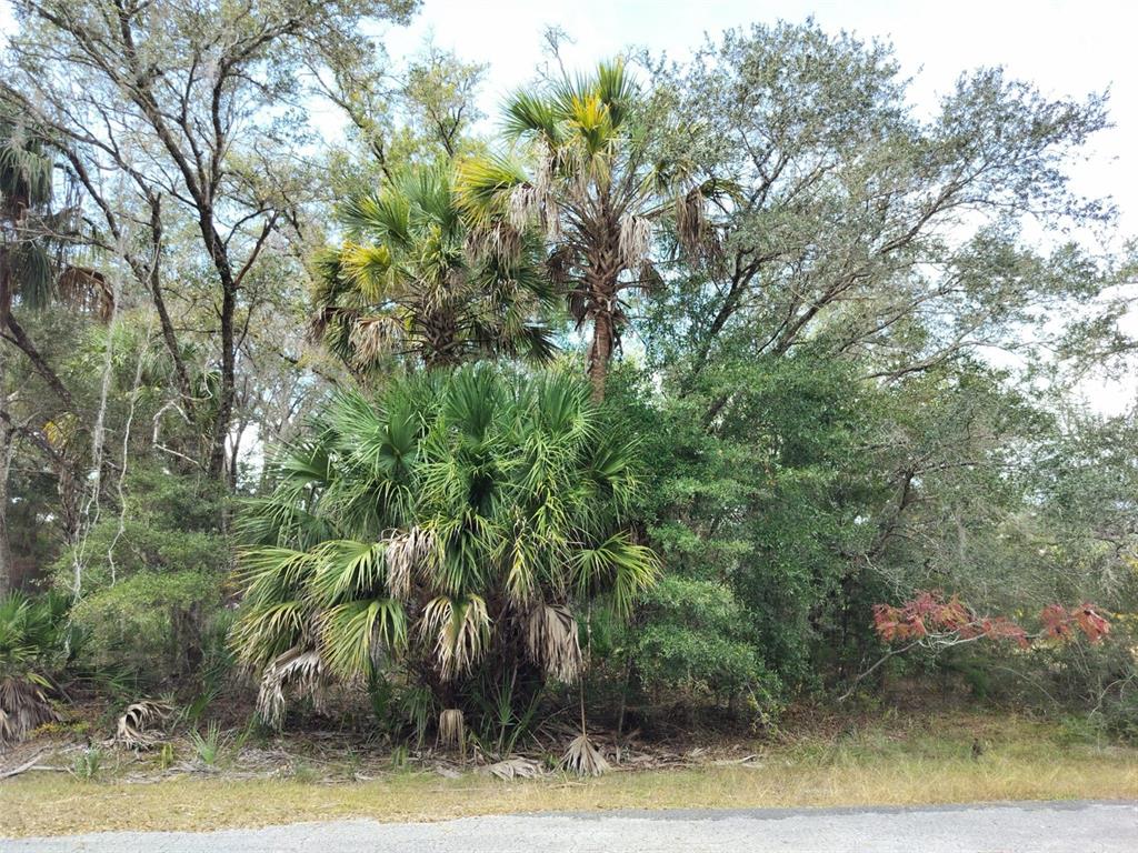 Property for sale at 9999 N SNOWBALL POINT, CRYSTAL RIVER, FL, 34428