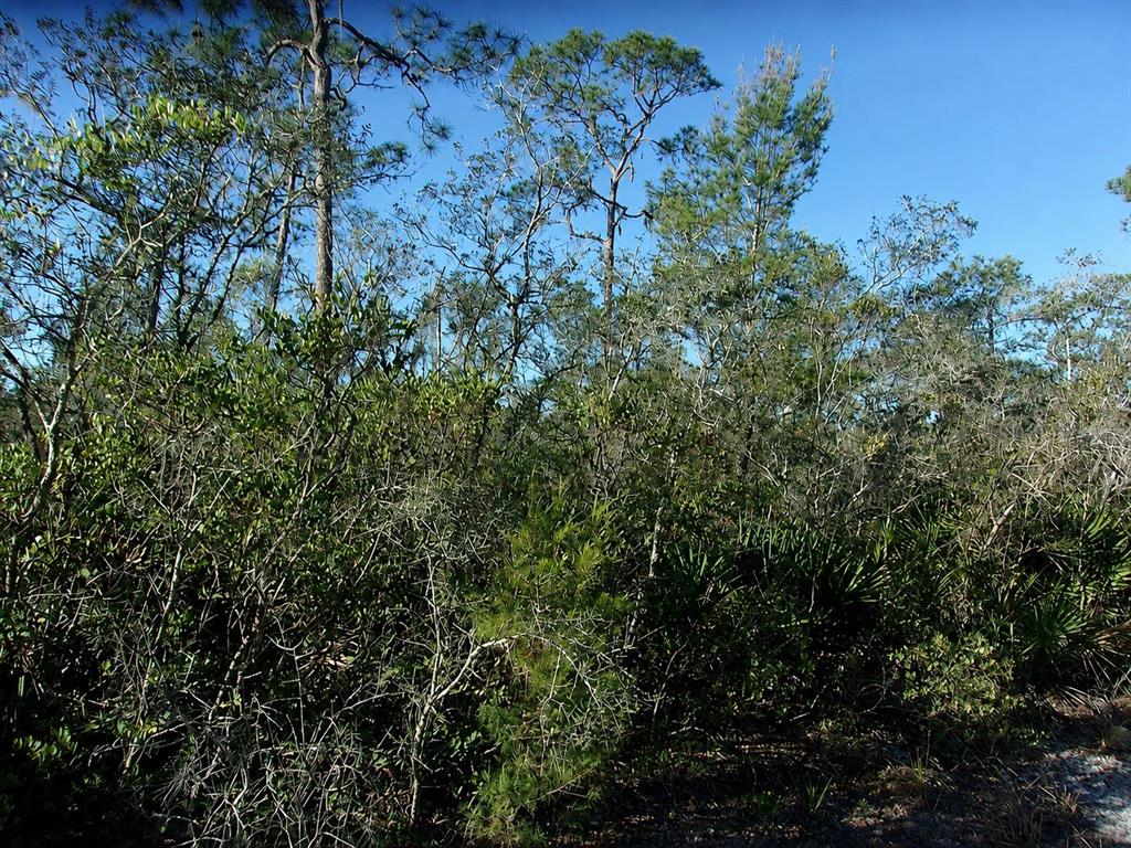 Property for sale at 10566 INTERLACHER DRIVE, SEBRING, FL, 33875