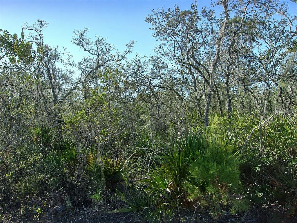 Property for sale at 10566 INTERLACHER DRIVE, SEBRING, FL, 33875