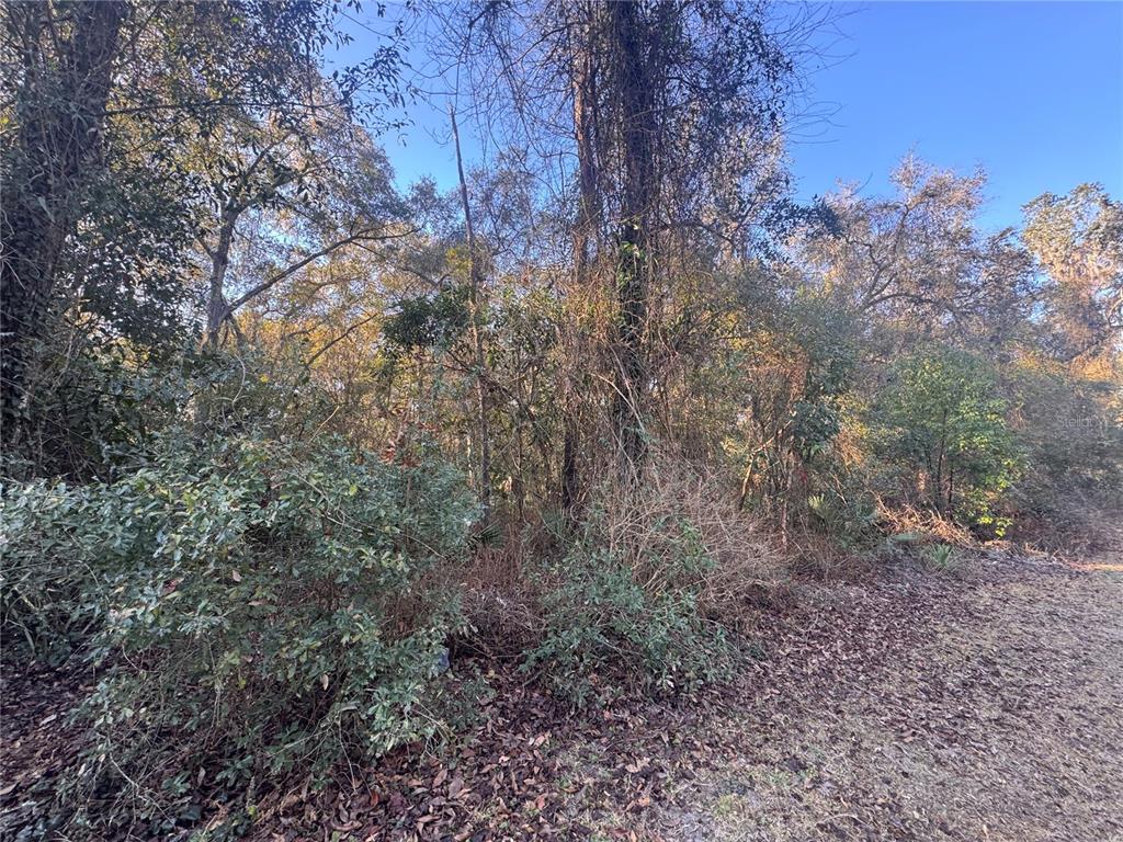 unimproved property lot