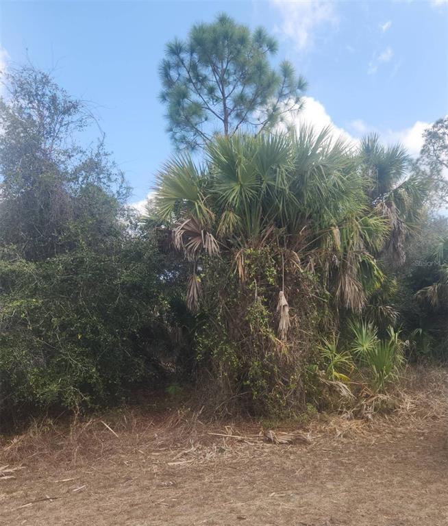 Property for sale at S SAN MATEO DRIVE, NORTH PORT, FL, 34286