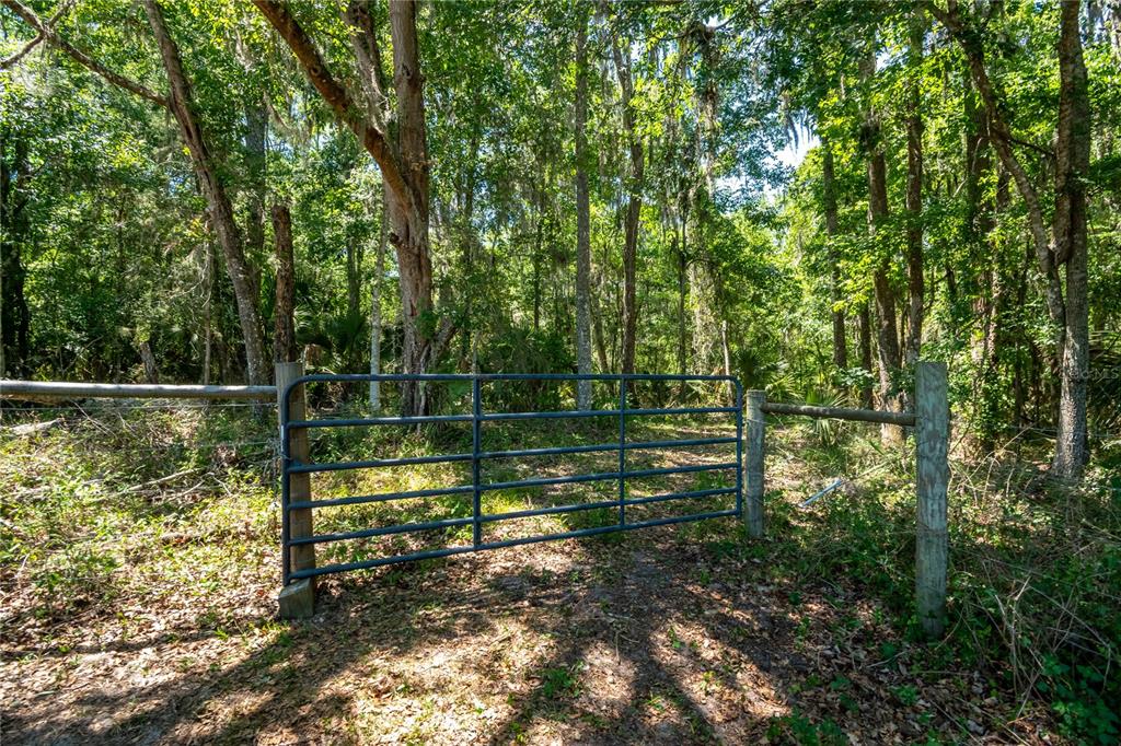 Property for sale at 00 NW HWY 225, REDDICK, FL, 32686