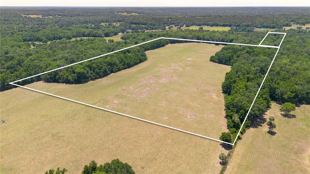 Property for sale at 00 NW HWY 225, REDDICK, FL, 32686