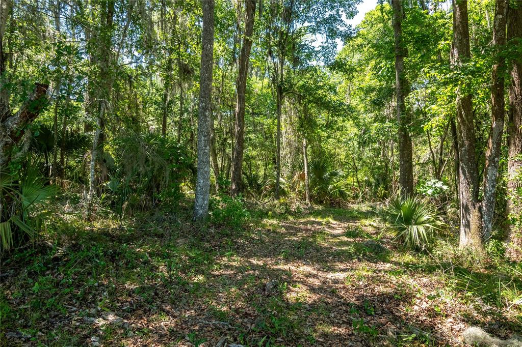 Property for sale at 00 NW HWY 225, REDDICK, FL, 32686