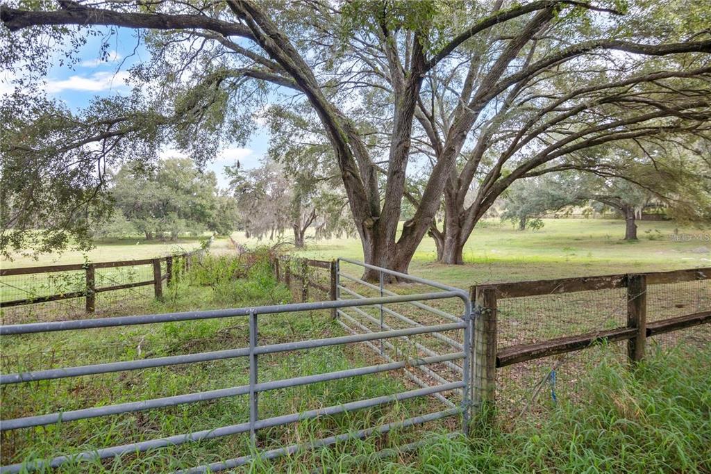 Property for sale at 0 LAKE ELLA RD ROAD, FRUITLAND PARK, FL, 34731