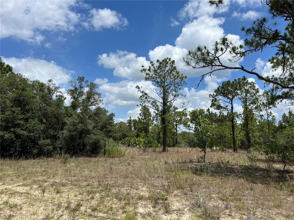Property for sale at 3309 W HAMPSHIRE BOULEVARD, CITRUS SPRINGS, FL, 34433