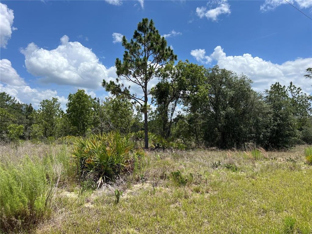 Property for sale at 3309 W HAMPSHIRE BOULEVARD, CITRUS SPRINGS, FL, 34433