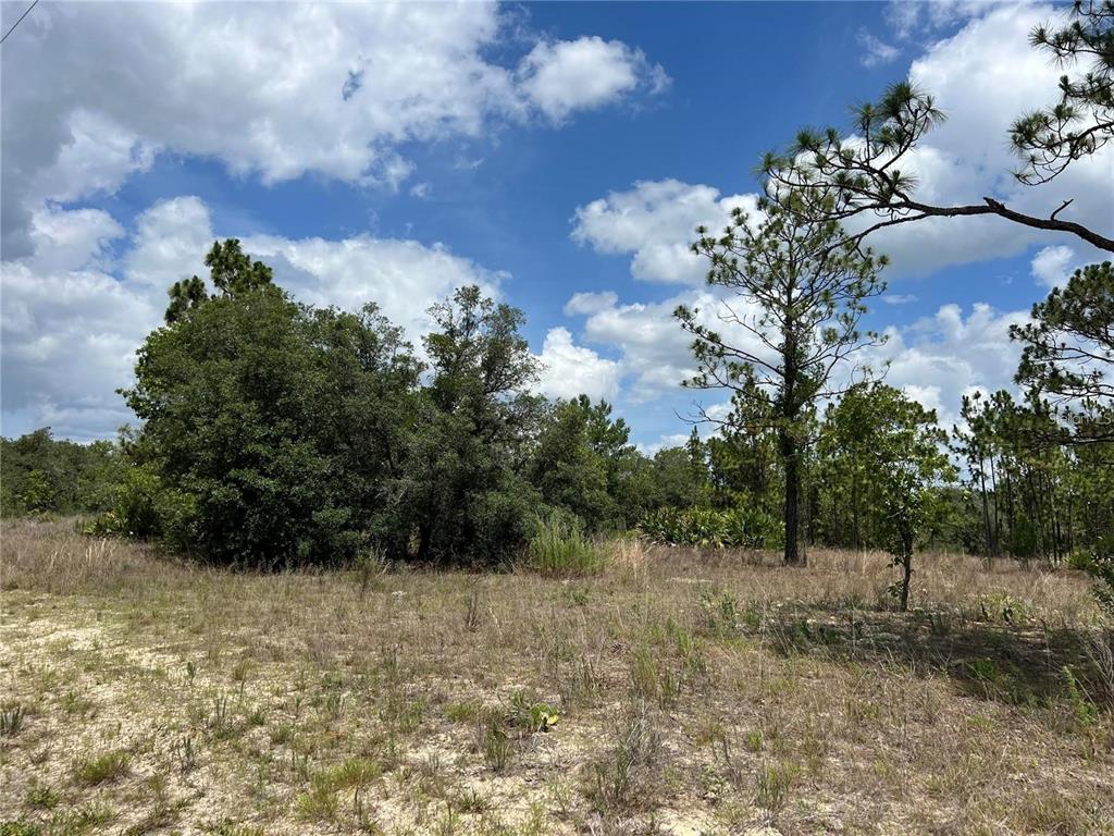 Property for sale at 3309 W HAMPSHIRE BOULEVARD, CITRUS SPRINGS, FL, 34433