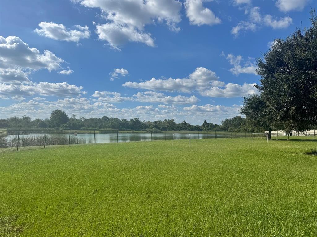 Back yard view