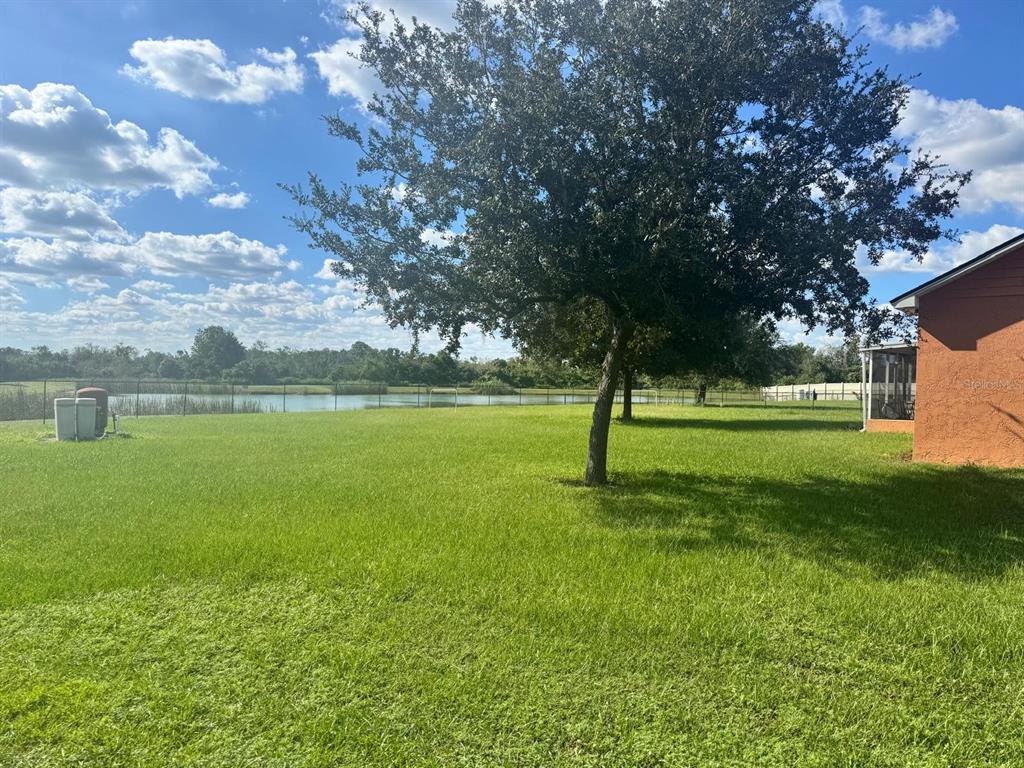 Back yard