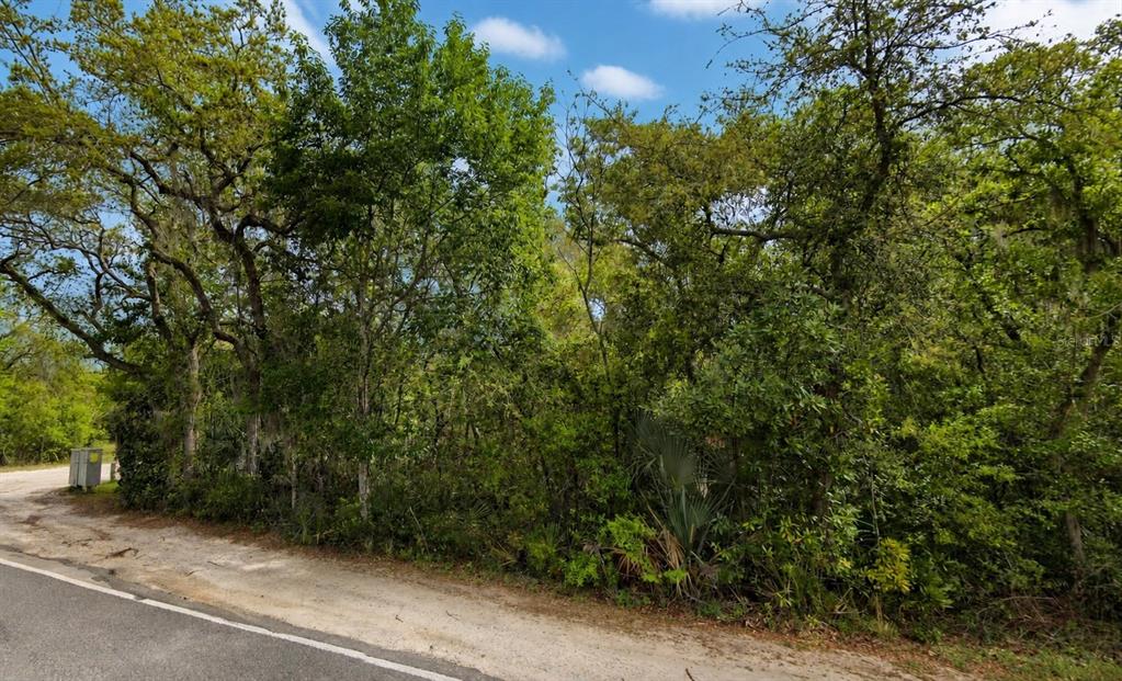 Property for sale at NE 154TH PLACE, FORT MC COY, FL, 32134