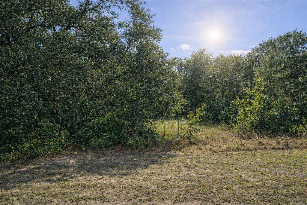 Property for sale at 4375 SW 194TH AVENUE, DUNNELLON, FL, 34432