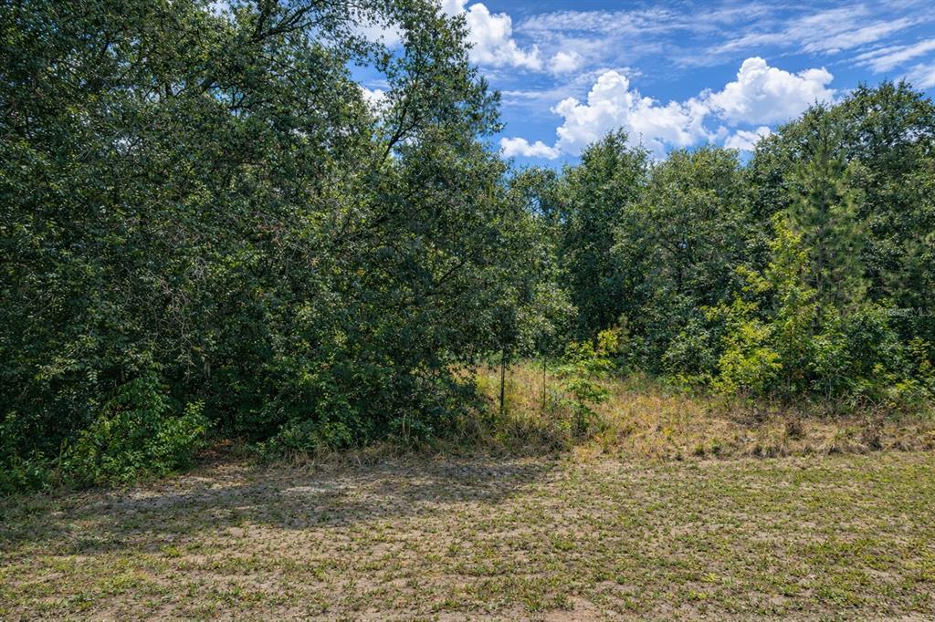 Property for sale at 4375 SW 194TH AVENUE, DUNNELLON, FL, 34432
