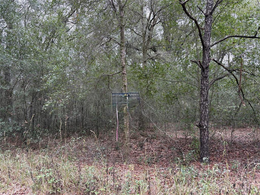 Property for sale at SW 16TH STREET, OCALA, FL, 34481