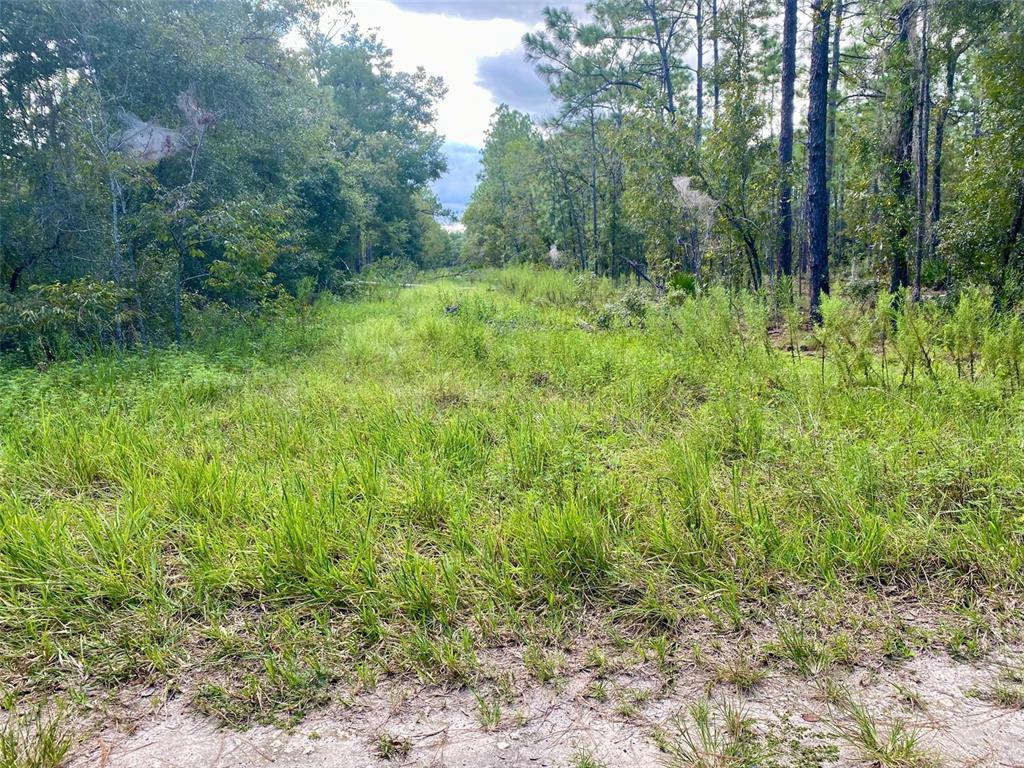 Property for sale at SW 16TH STREET, OCALA, FL, 34481