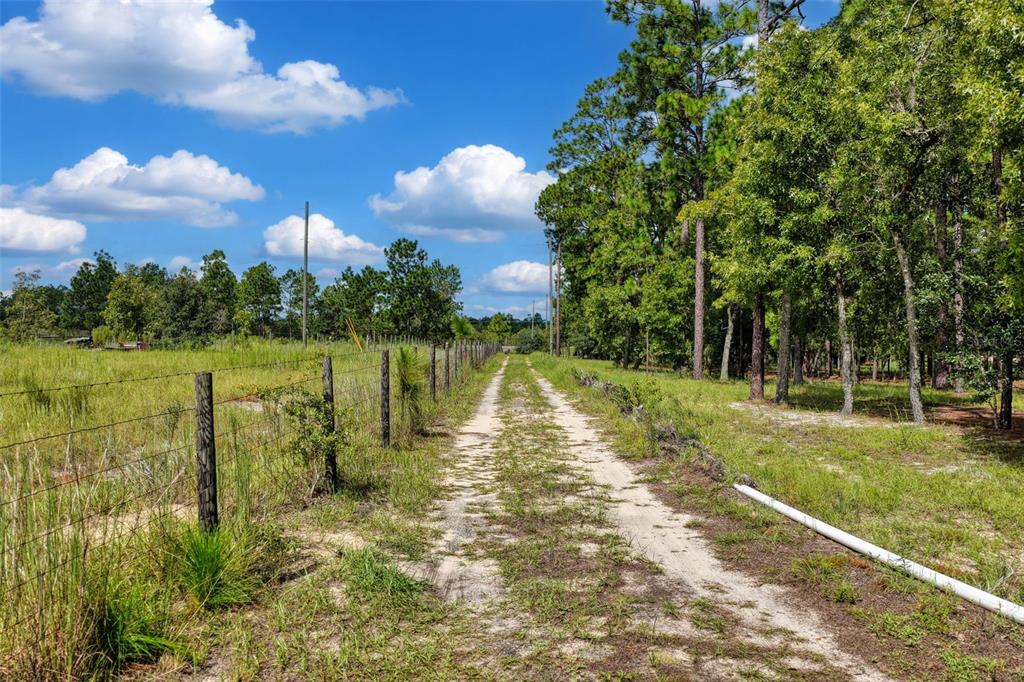 Property for sale at 1411 SE STATE ROAD 121, MORRISTON, FL, 32668