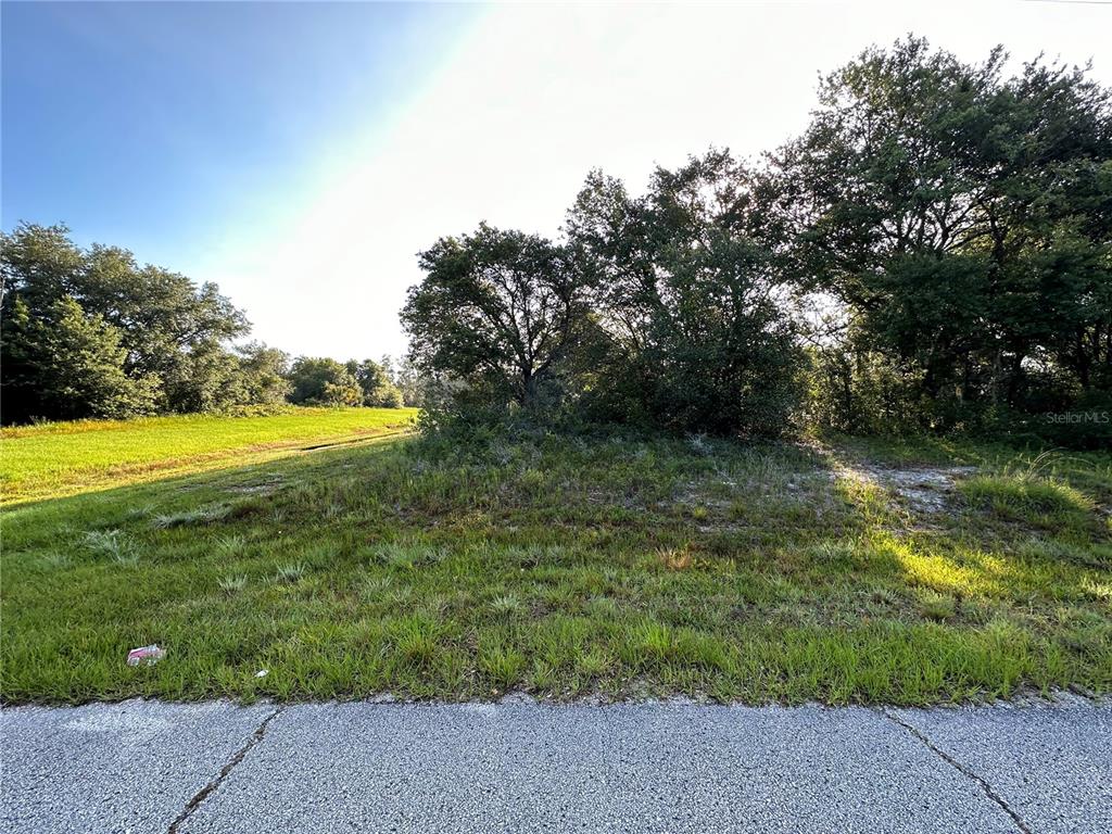 Property for sale at 0 MEDITERRANEAN DRIVE, KISSIMMEE, FL, 34759
